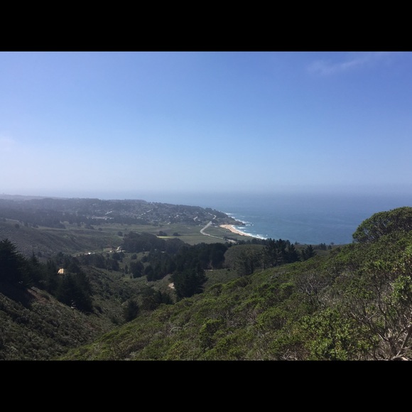 Meet your Posher, Monica - Picture 1 of 1